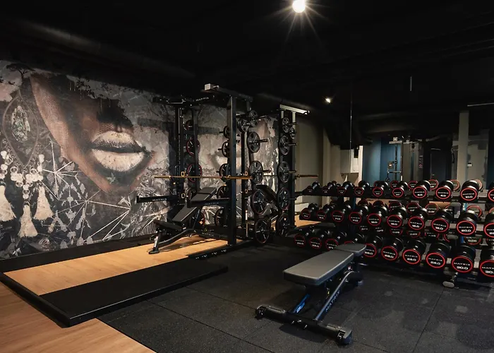 Dreifluessehof فندق 4*