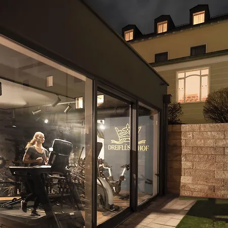 Hotel Dreifluessehof Pasov