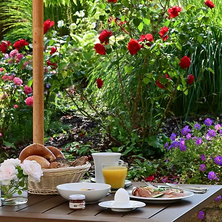 Dreifluessehof Hotel Passavia