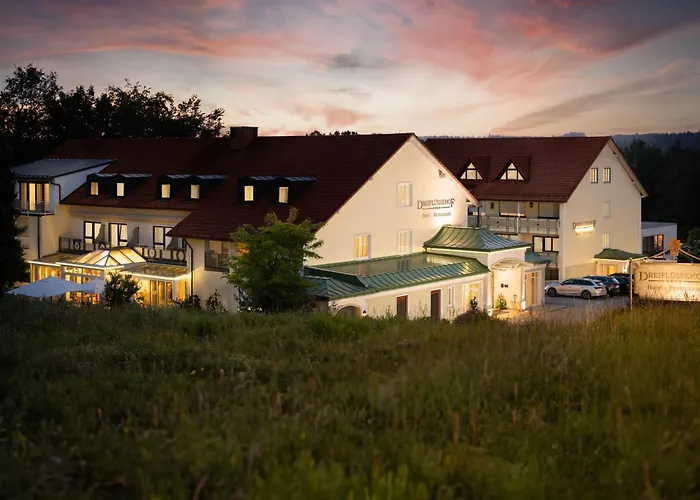 Hotel Dreifluessehof 4*